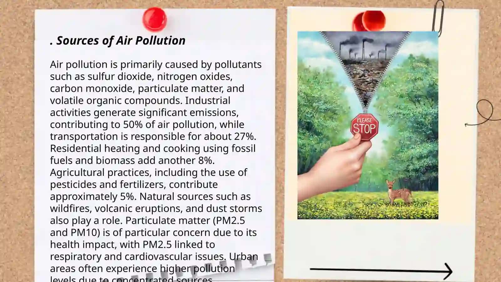 Air Pollution 3