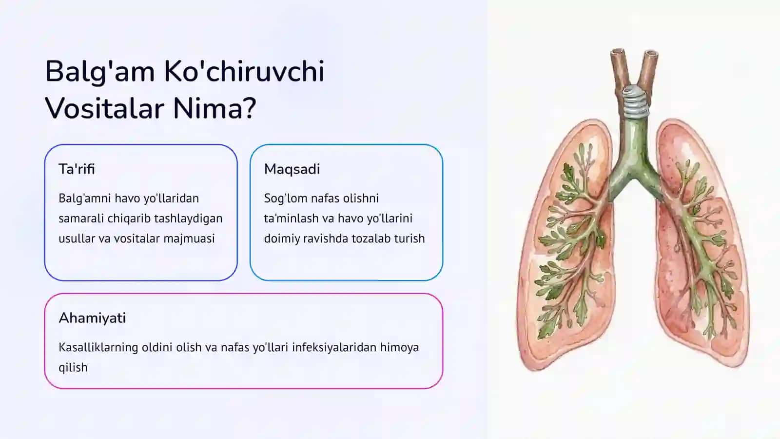 Balg'am Ko'chiruvchi Vositalar 3