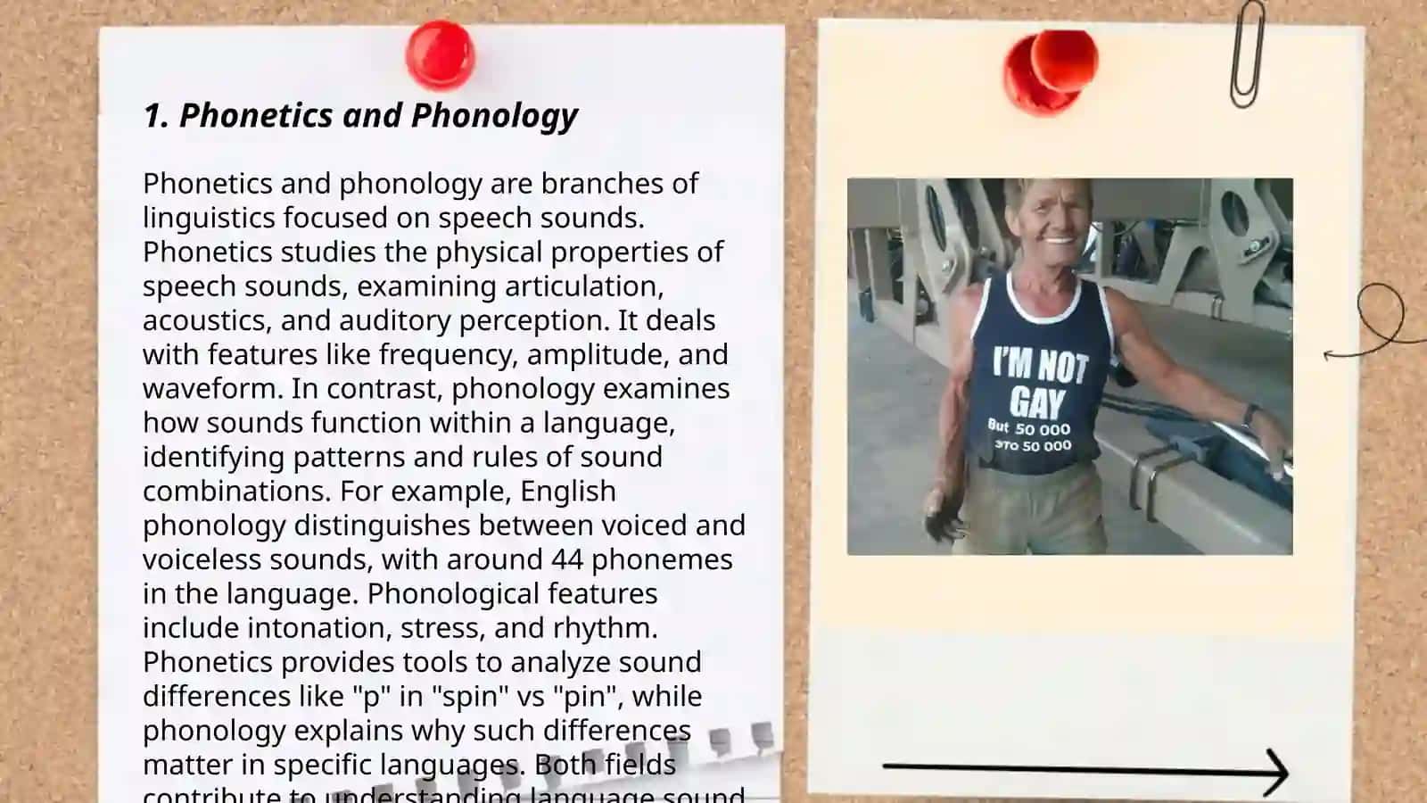 Phonetics and Phonology 3