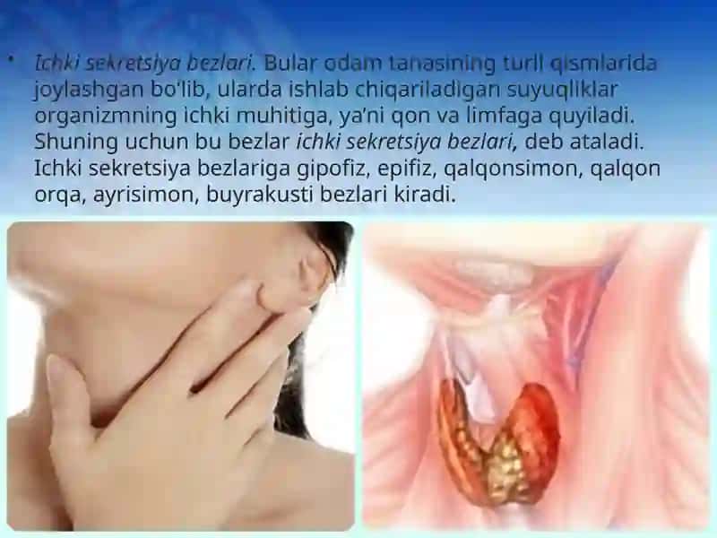 Odam va uning salomatligi darsligi 4