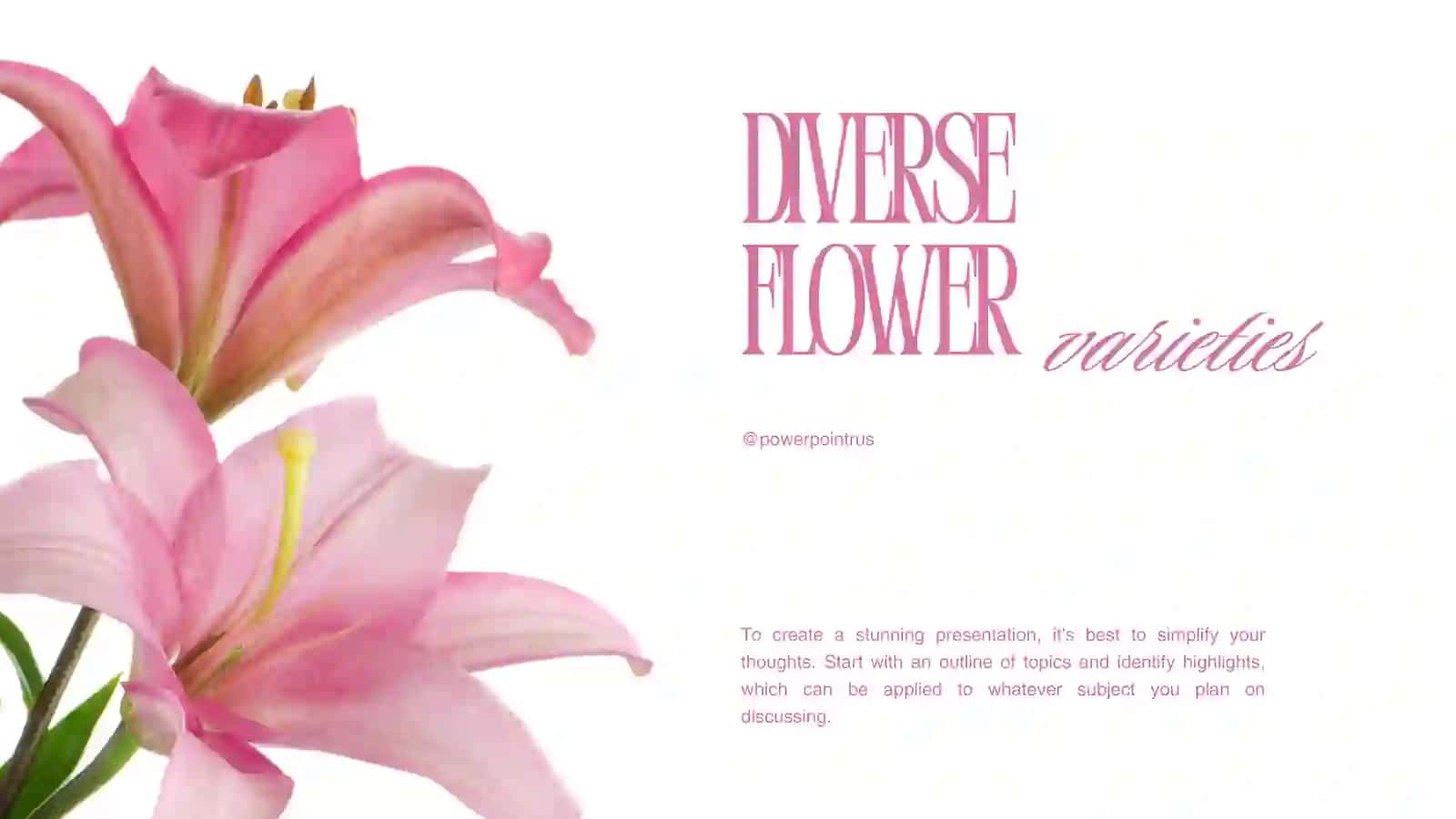 Premium Flower Presentation Template 4