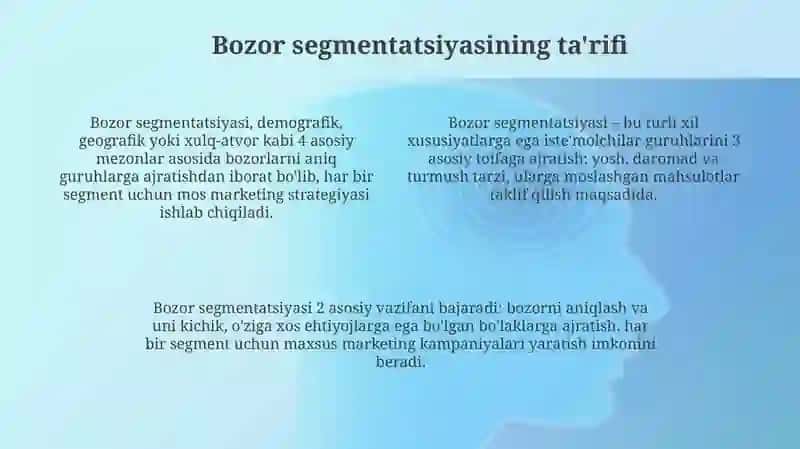 Bozor segmentatsiyasi 4