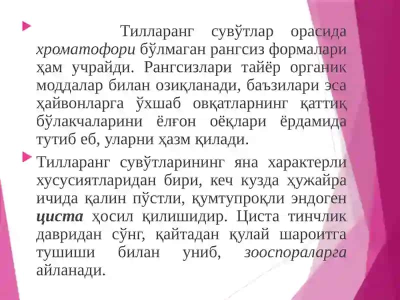 Ботаника 4