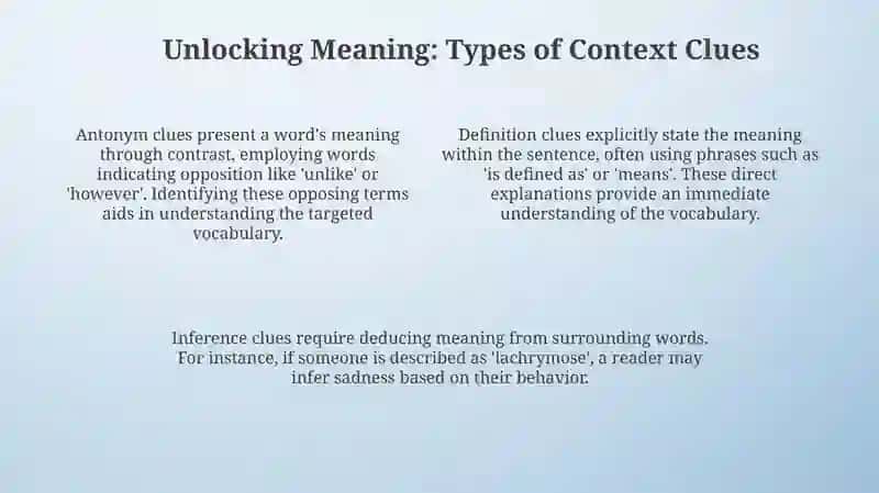 Vocabulary in Context 4