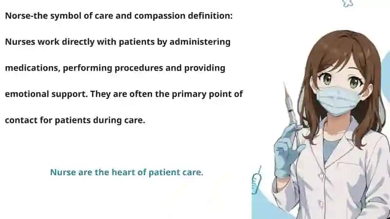 EXPLORE THE ROLES IN A HOSPITAL TEAM 4