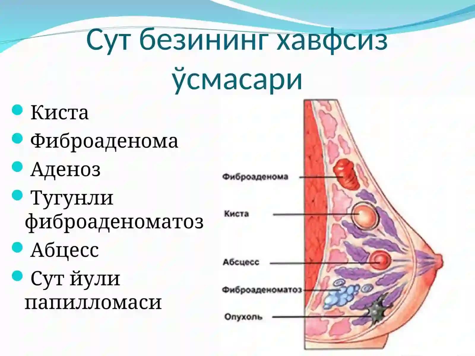 Сут бези саратони 4
