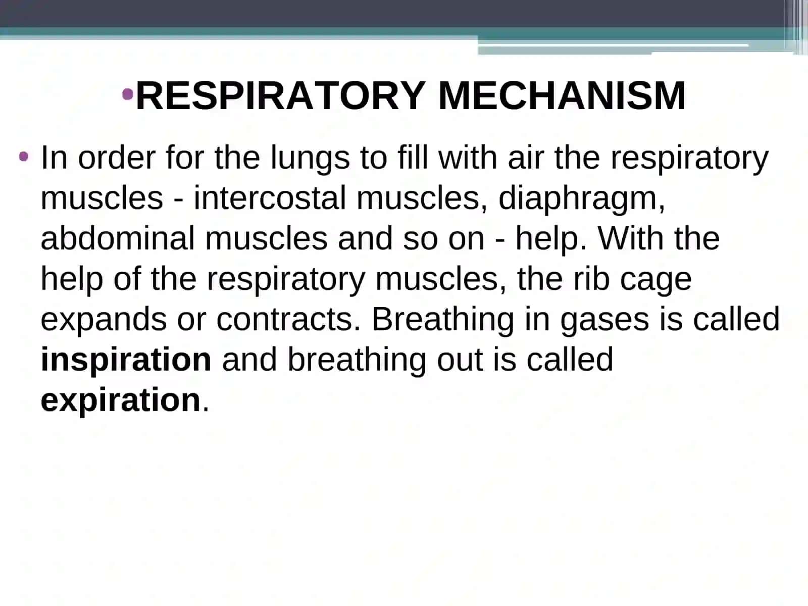 RESPIRATORY SYSTEM PHYSIOLOGY 4