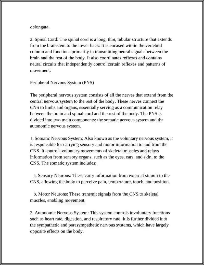 Nervous System Organization 4