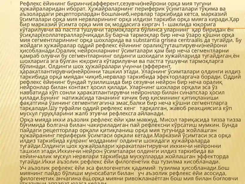 Бош мия пўстлоғи 4