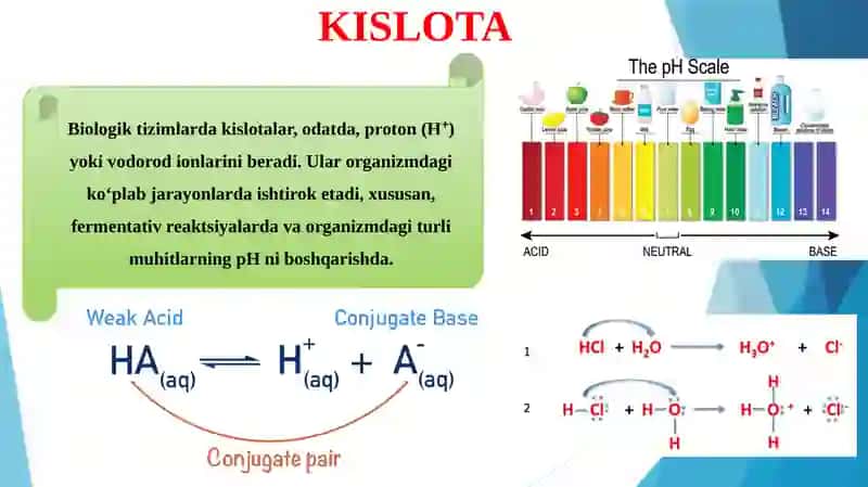 Kislotalar, ishqorlar, buferlar. 4