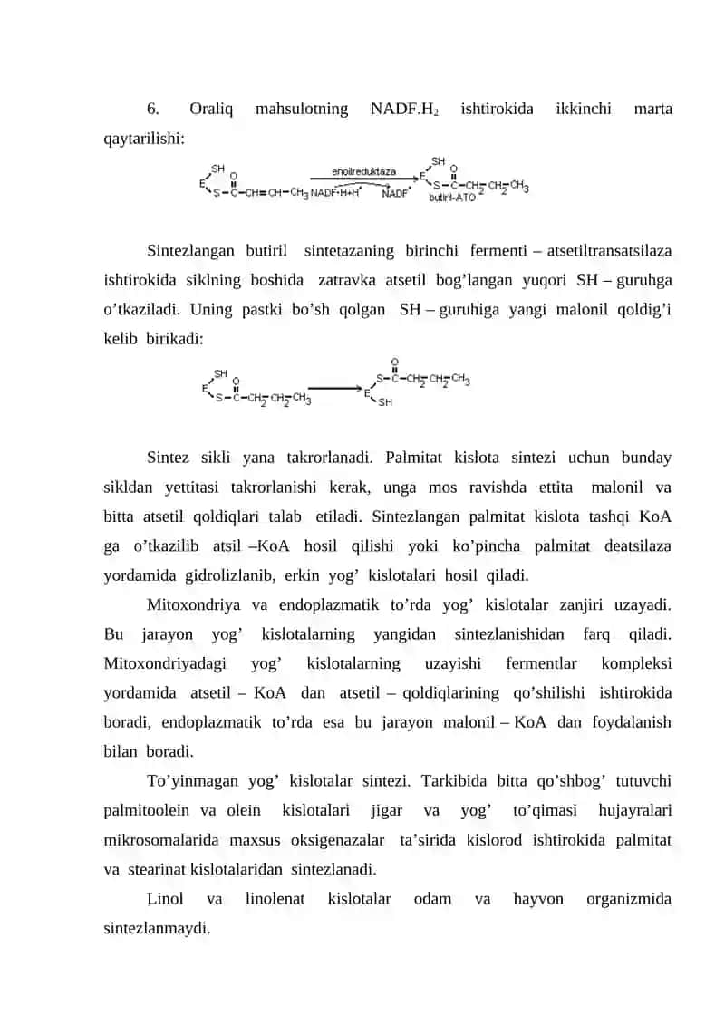 Lipidlar anabolizmi 4