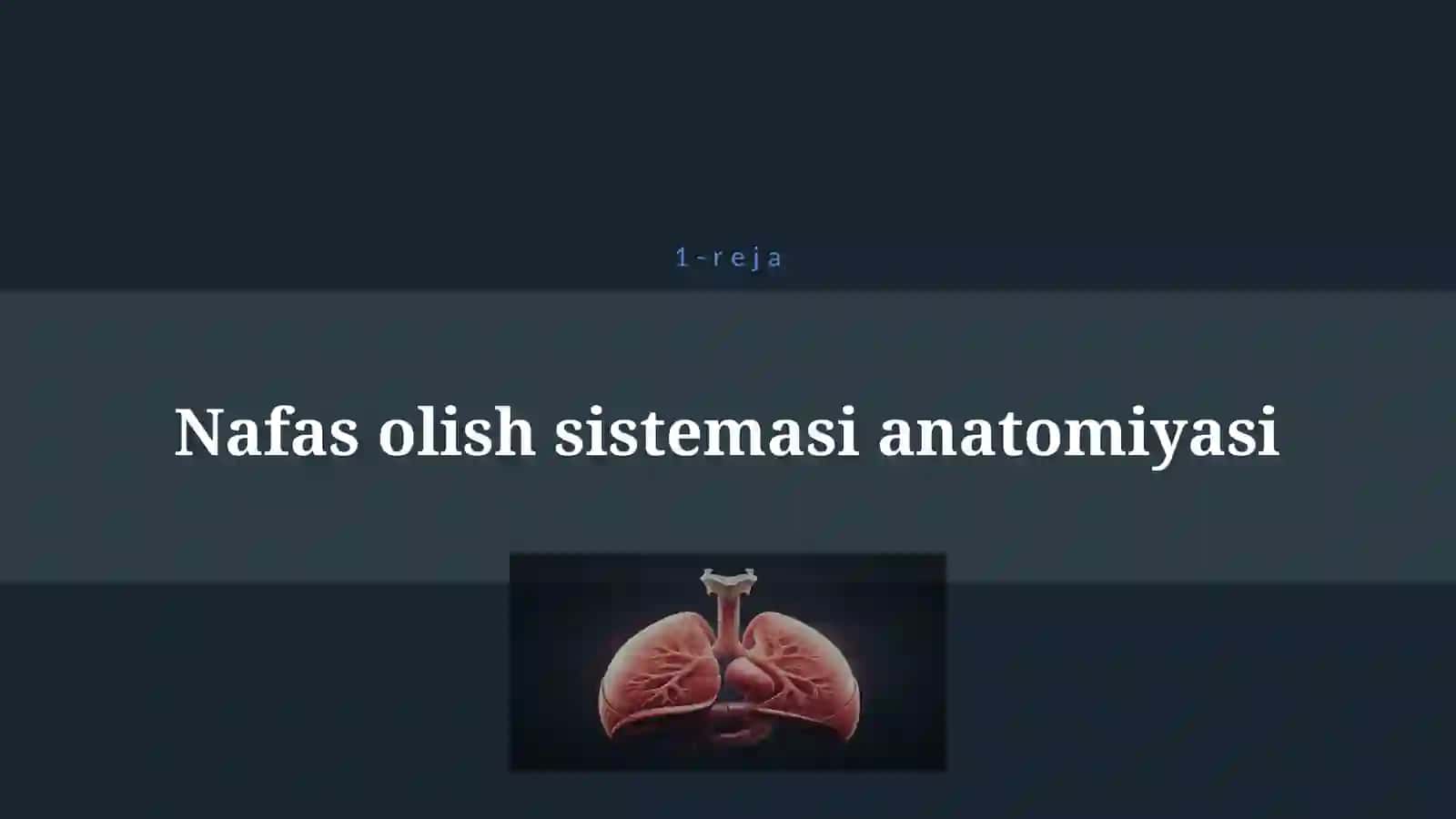 NAFAS OLISH SISTEMASI 4