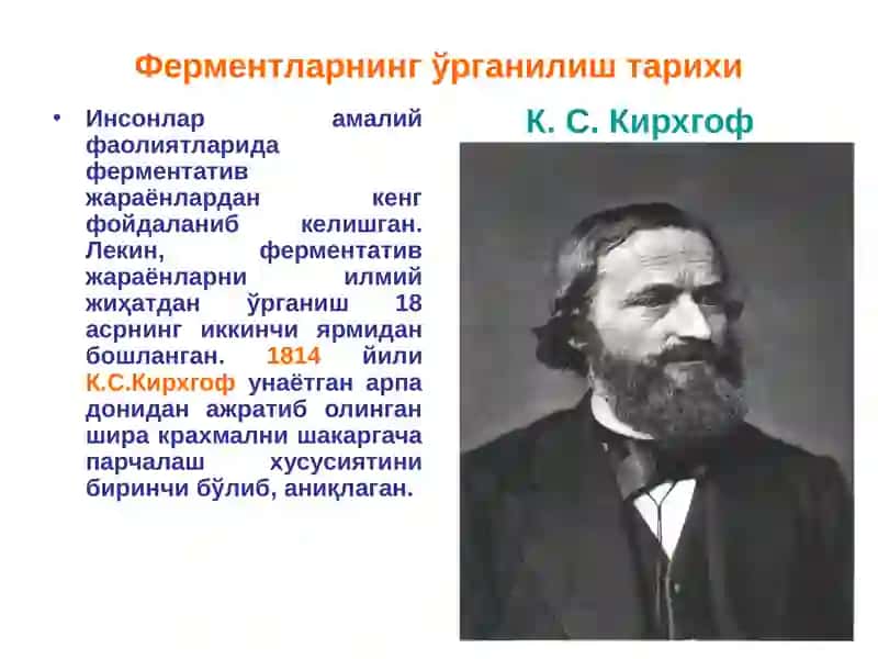Ферментлар 4