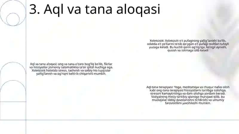 Xolisistit 4