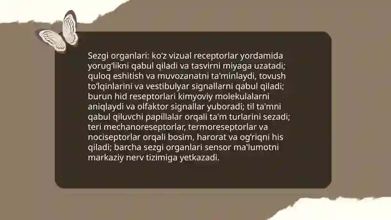 Bilish Jarayoni va Sezgi 4