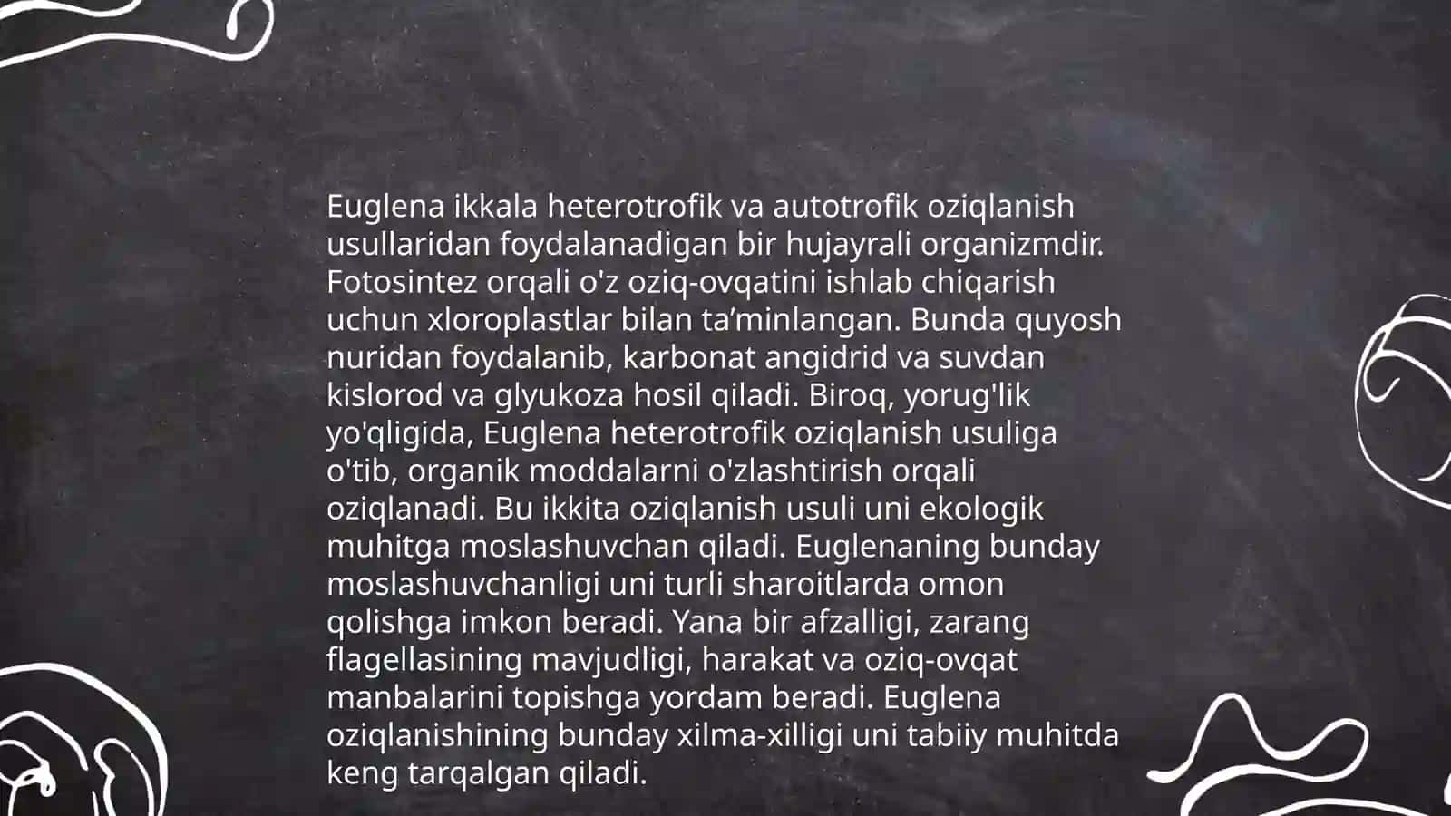 Euglena 4