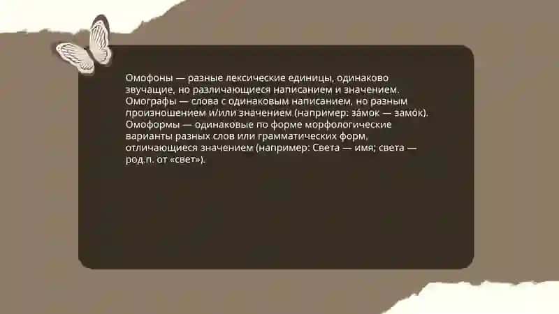 Омонимы. Паронимы 4