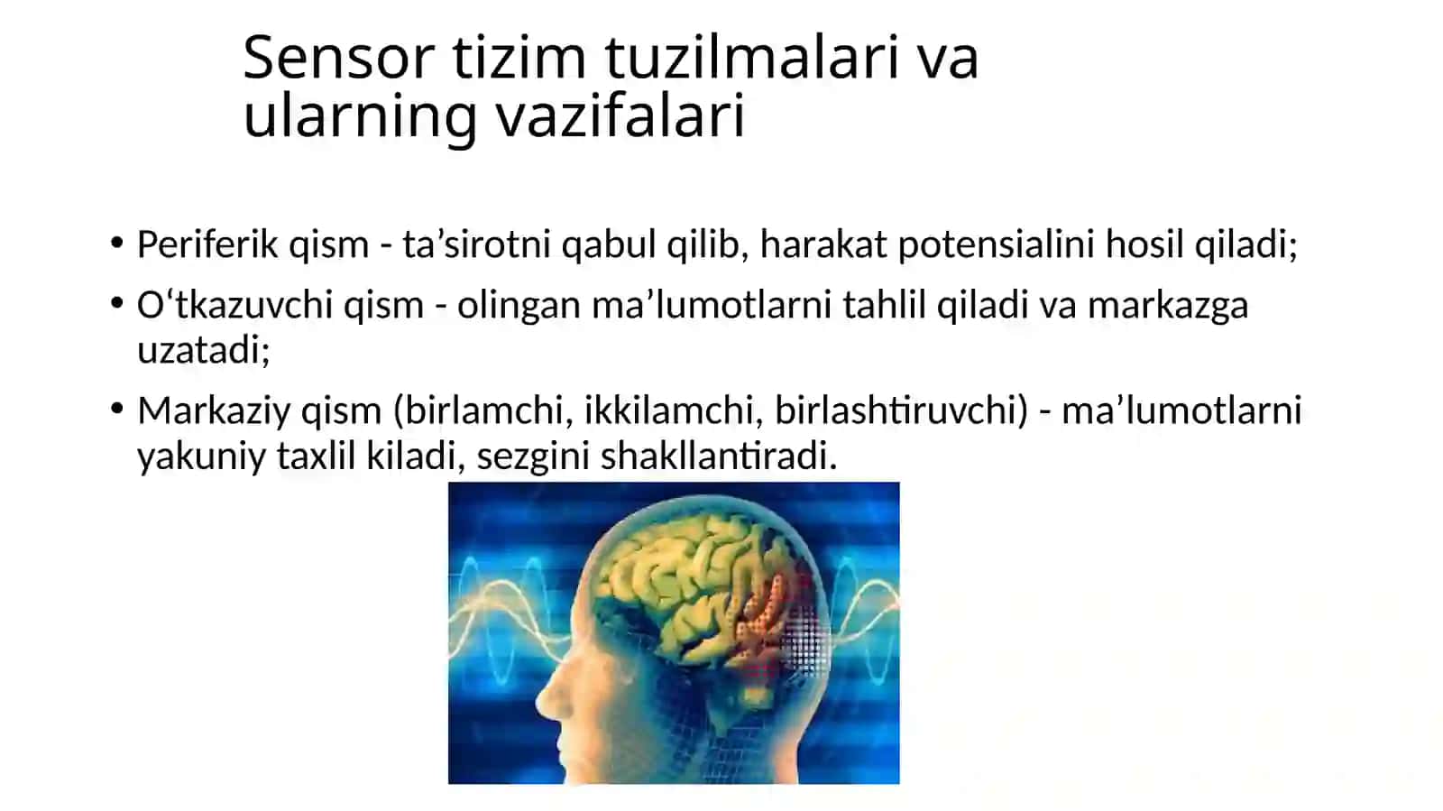 Ko'rish analizatori 4