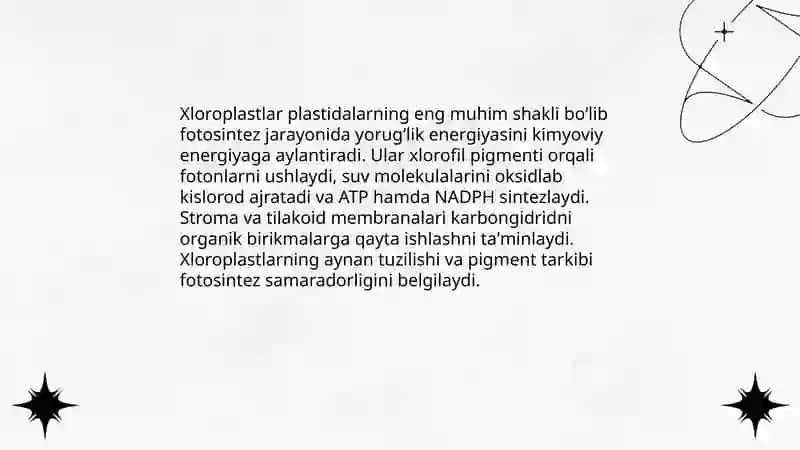 Plastidalarning ahamiyati 4