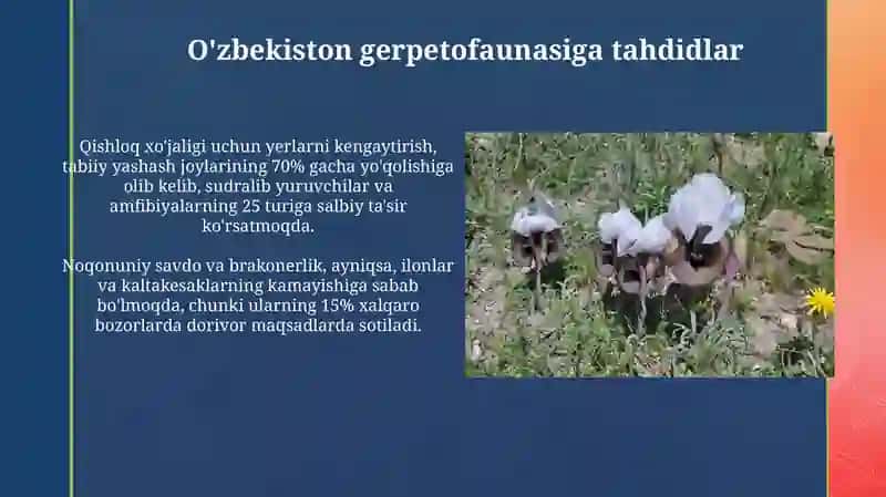 Oʻzbekiston gerpetaunasiga umumiy tavsif faunasi 4