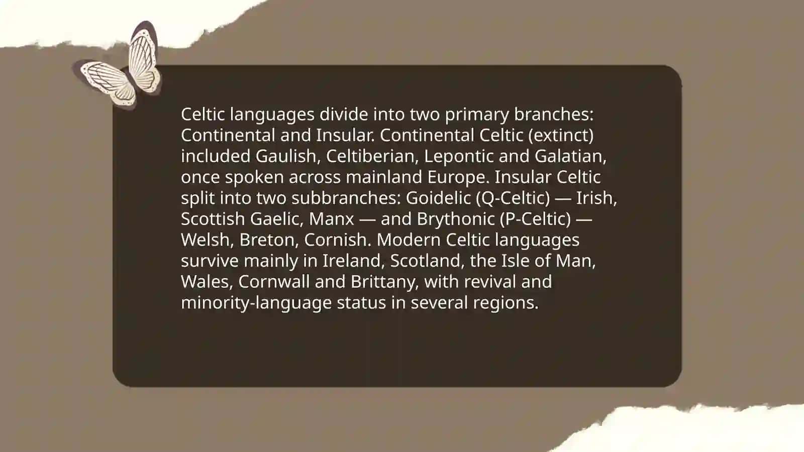 The Celts 4
