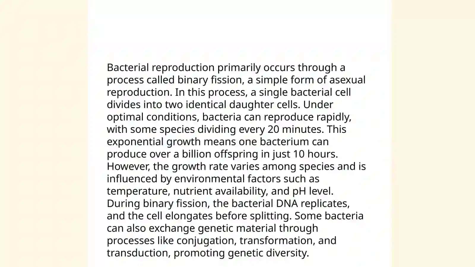 Bacteria 4