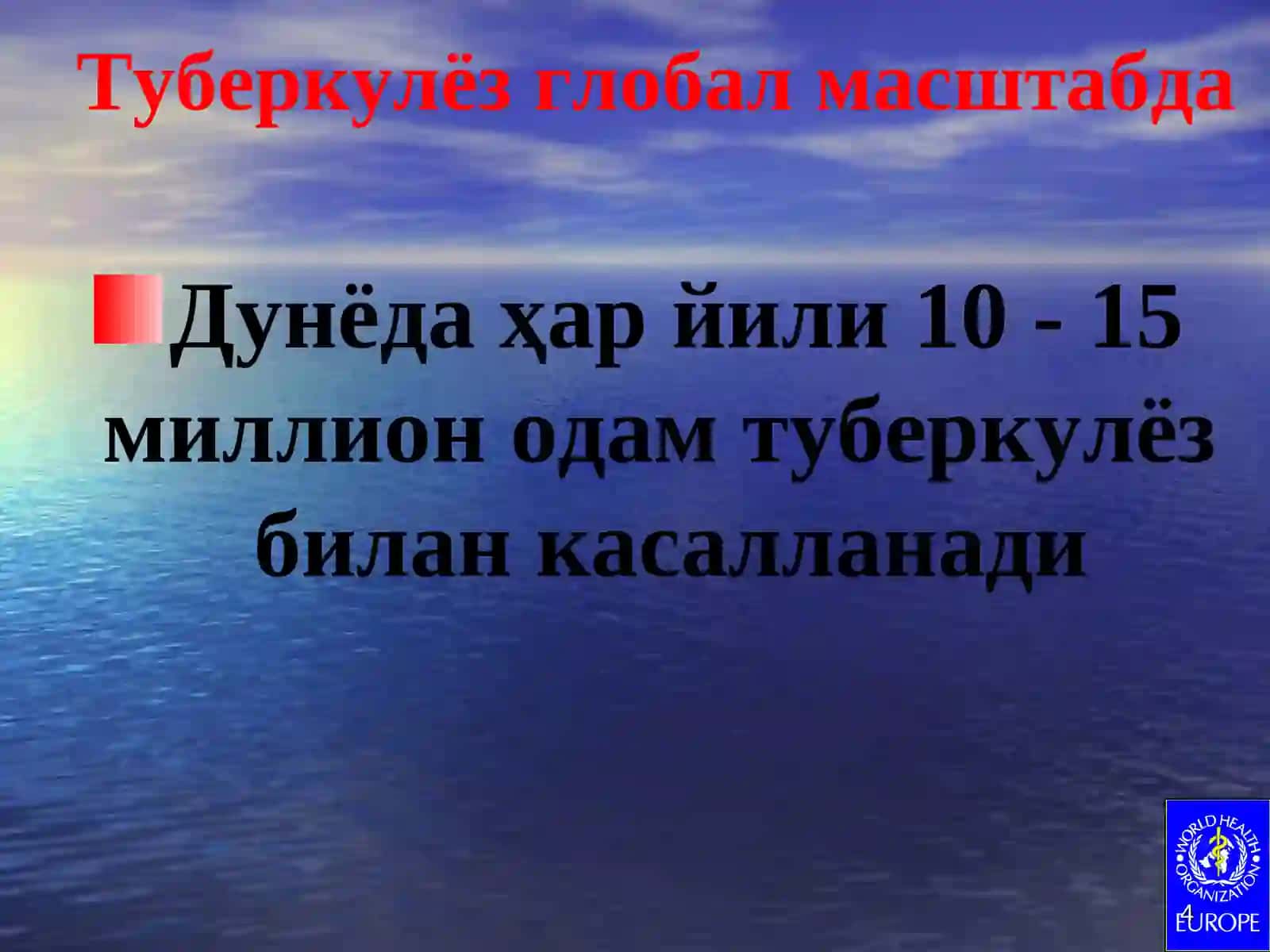 Туберкулёз 4