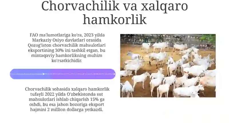 Oziq-ovqat ta'minoti va oziq-ovqat xavfsizligidagi roli 4