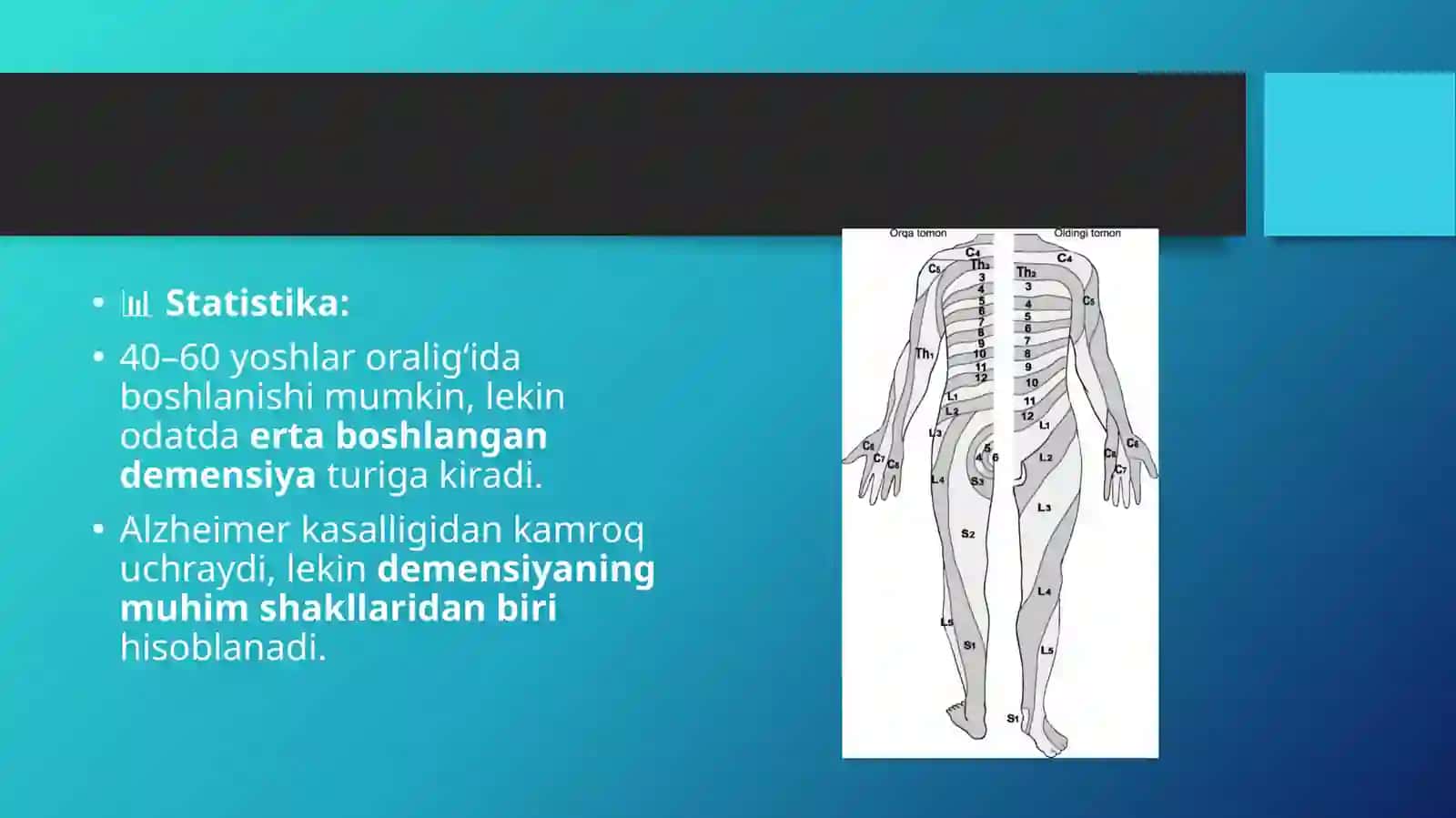 Pikkasalligi 4