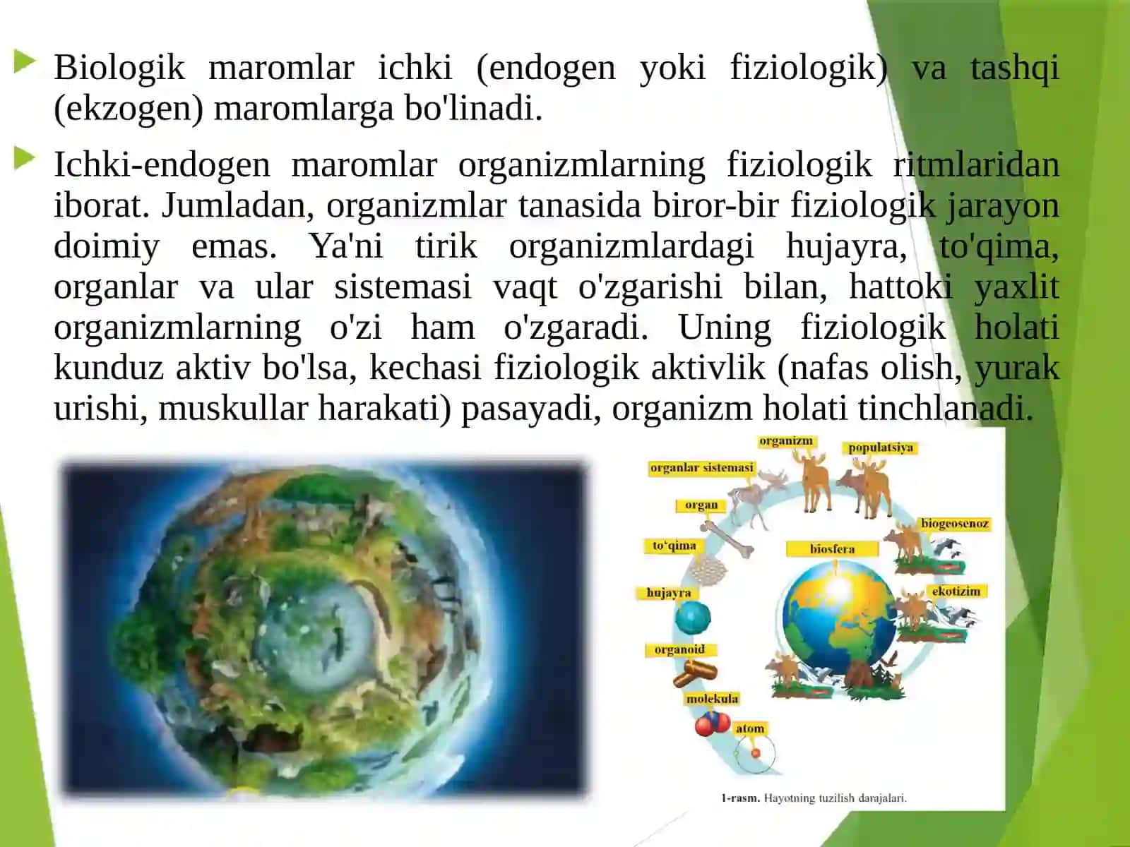 Biologikma'romlar 4