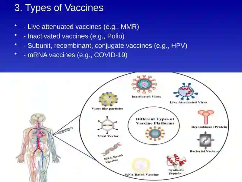 The Importance of Vaccination 4