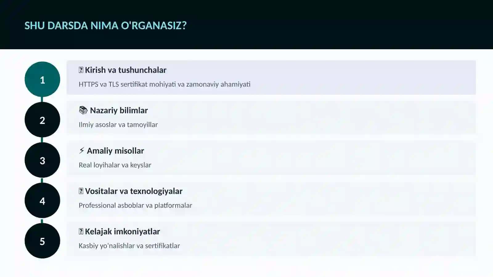 HTTPS va TLS sertifikat 4