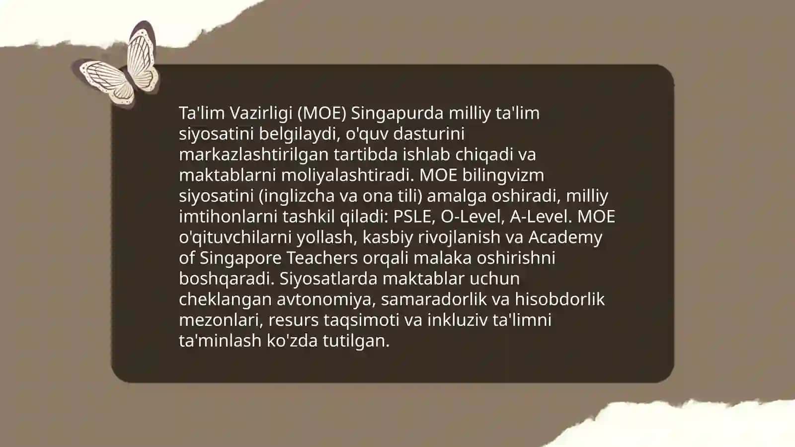 Singapur talim tizimi 4
