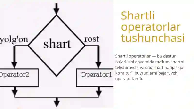 Shartli operatorlar va tsikllar 4
