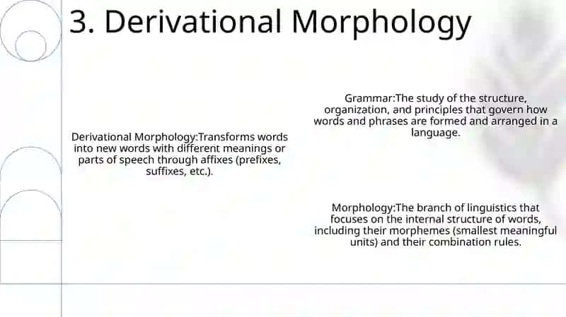 Grammar And Morphology 4