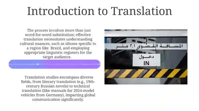 The Translation Process 4