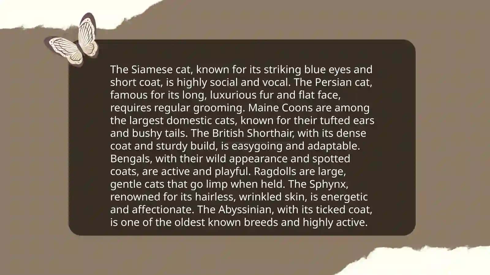 About cats 4