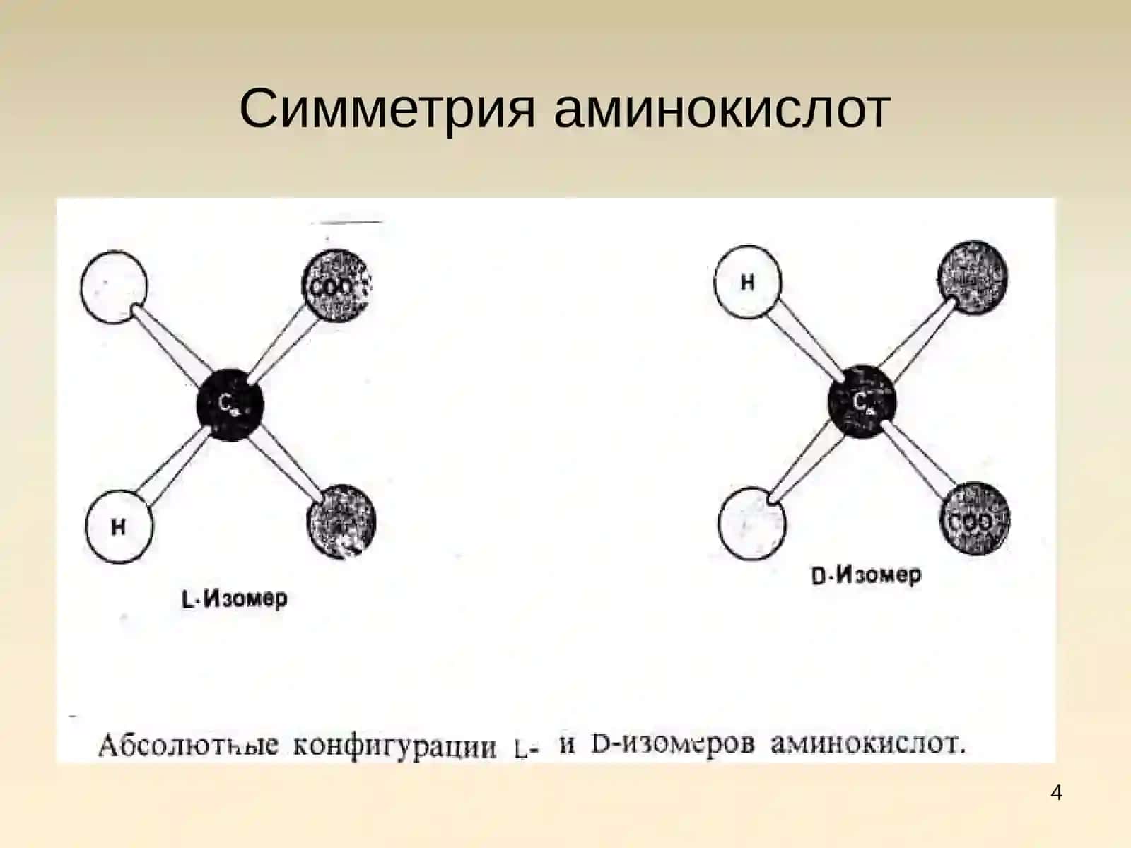 Aминокислоты 4