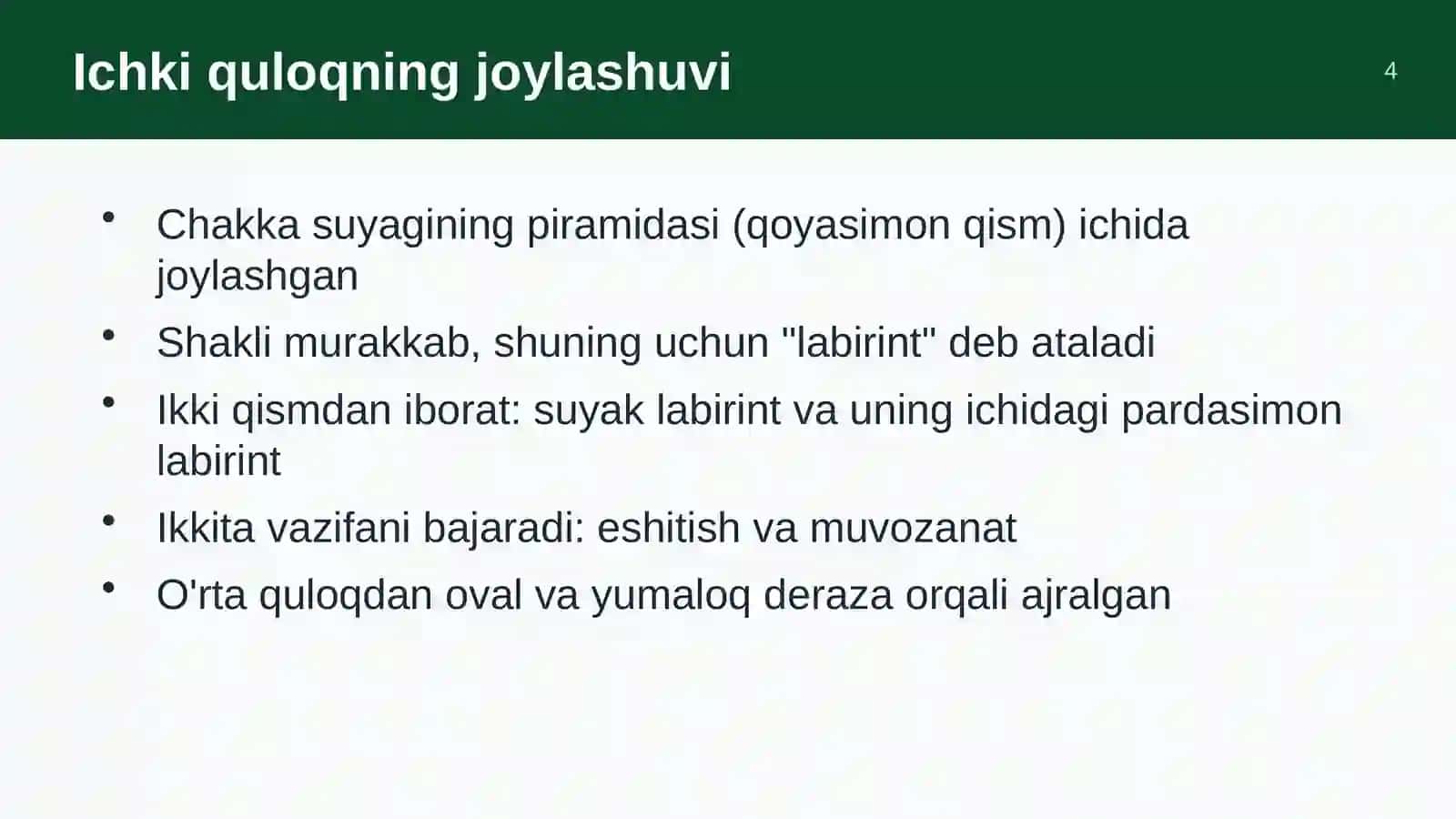 Ichki quloq anatomiyasi 4