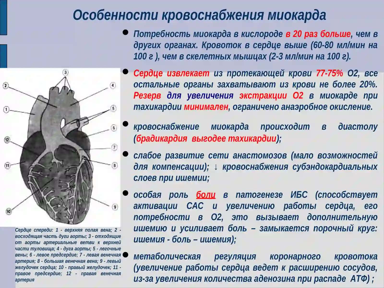 Антиангинальные средства 4