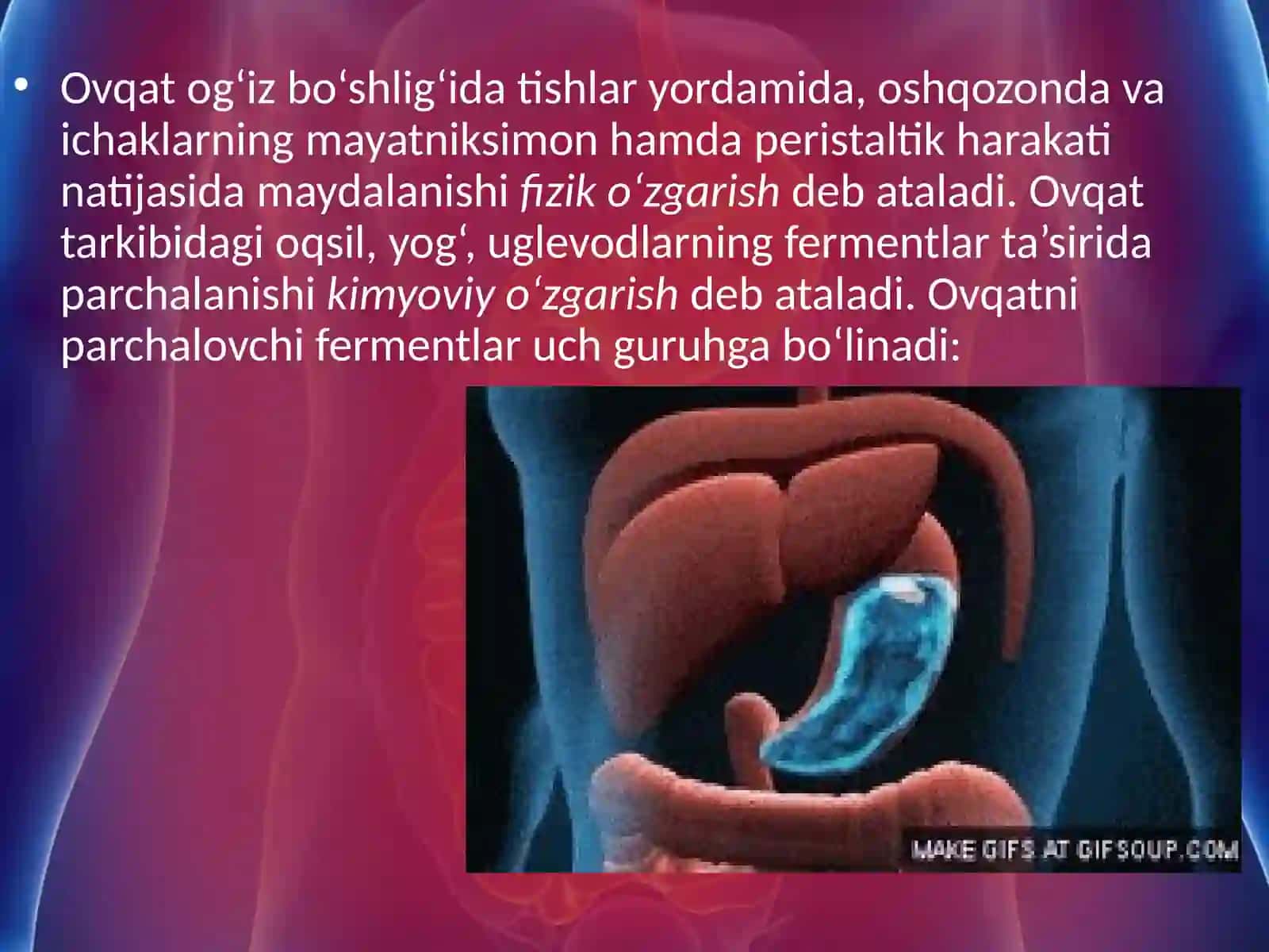 Jigar.Me’da ostibezi Ovqat hazm qilishning boshqarilishi 4
