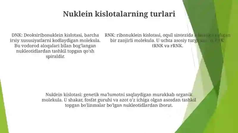 Nuklein Kislotalar 4