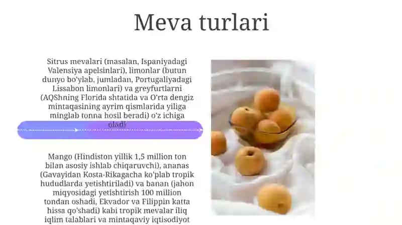 Mevalar 4