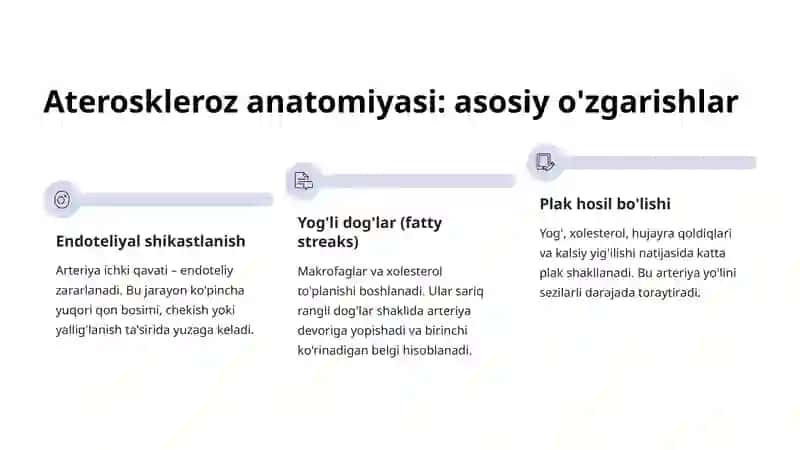 Ateroskleroz: Anatomik Asoslari 4
