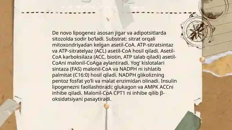 Lipidlar metabolizimi 4