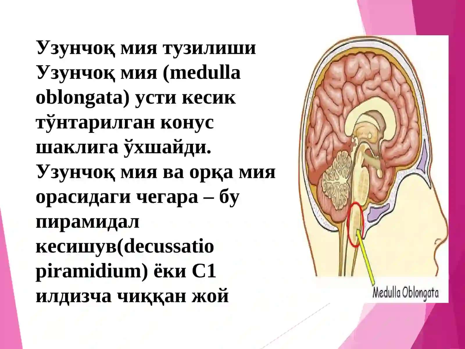 Мия устуни 4