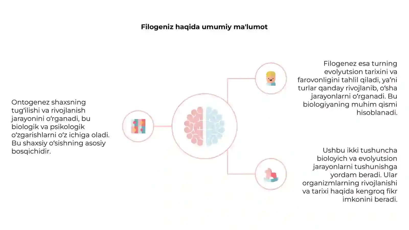 Ontogeniz va filogeniz haqida ma'lumot 4