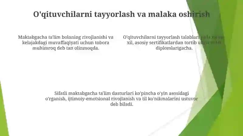 Jahon mamlakatlarida maktabgacha ta'lim 4