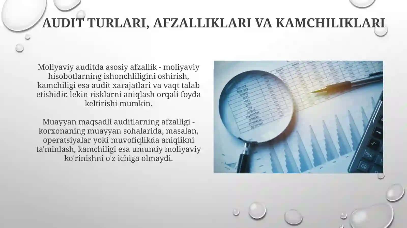 Tashqi audit 4