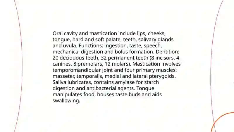 Digestive System 4